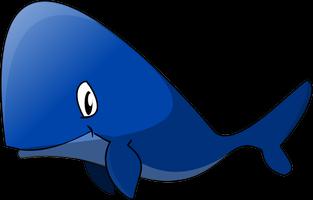 Blue Whale Dangers Affiche