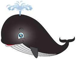 Blue Whale Dangers 截图 2