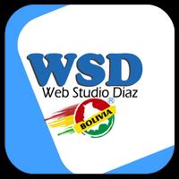 WSD Bolivia โปสเตอร์