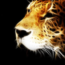 APK Cool Animal Wallpapers