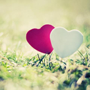 Cute Love Wallpapers APK