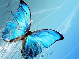 Butterfly Wallpapers Cartaz