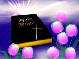 Holy Bible Wallpapers Affiche