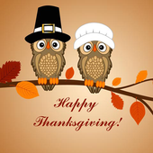 Happy Thanksgiving Wallpapers icon