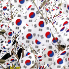 South Korea Wallpapers icono