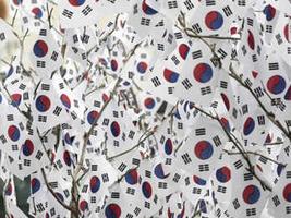 South Korea Wallpapers скриншот 1