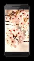 Sakura Live Video Wallpaper capture d'écran 1