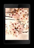 2 Schermata Sakura Live Video Wallpaper