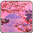 Sakura Live Wallpaper آئیکن