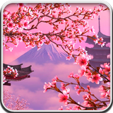 Sakura Live Wallpaper icon