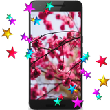 Sakura HD Video LWP icône