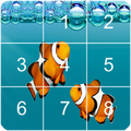 Clown fish - Puzzle