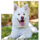 free dog puzzles simgesi