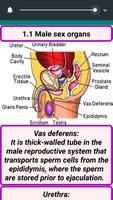 How to Get Pregnant Fast تصوير الشاشة 3
