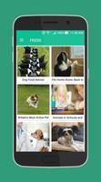 Hello Petz - Pet Care 截图 2