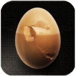 Best Tamago