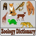 Zoology Dictionary & word
