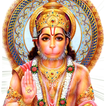 Shri Hanuman Devotee