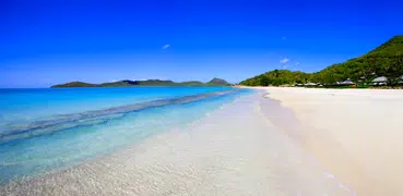 Beach Video Live Wallpaper Gal