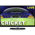 Cricket Live Line-icoon