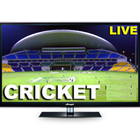 Cricket Live Line icon