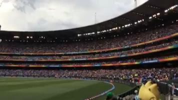 Cricket Live Line captura de pantalla 2