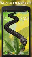 Snake On Screen Affiche