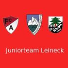 Juniorteam Leineck icône