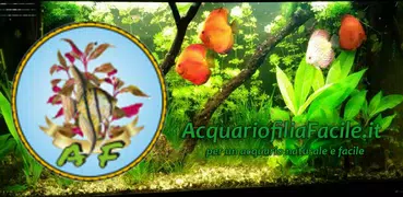 Acquariofilia Facile