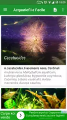 Acquariofilia Facile XAPK download