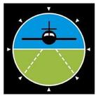 International Aviation Academy иконка