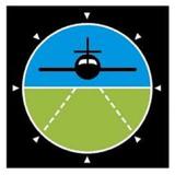 International Aviation Academy icon