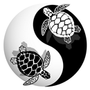 Turtle Traveller APK