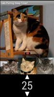 The Best Cat Purring Sound App پوسٹر