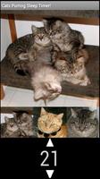 The Best Cat Purring Sound App 截图 1