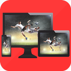 Screen mirroring icon
