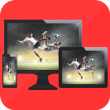 Screen mirroring icon