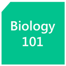 APK Biology