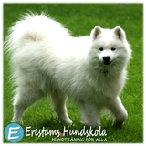 Erestams Hundskola icon