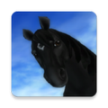 SSO Horse Names