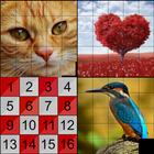 Puzzle Plus أيقونة