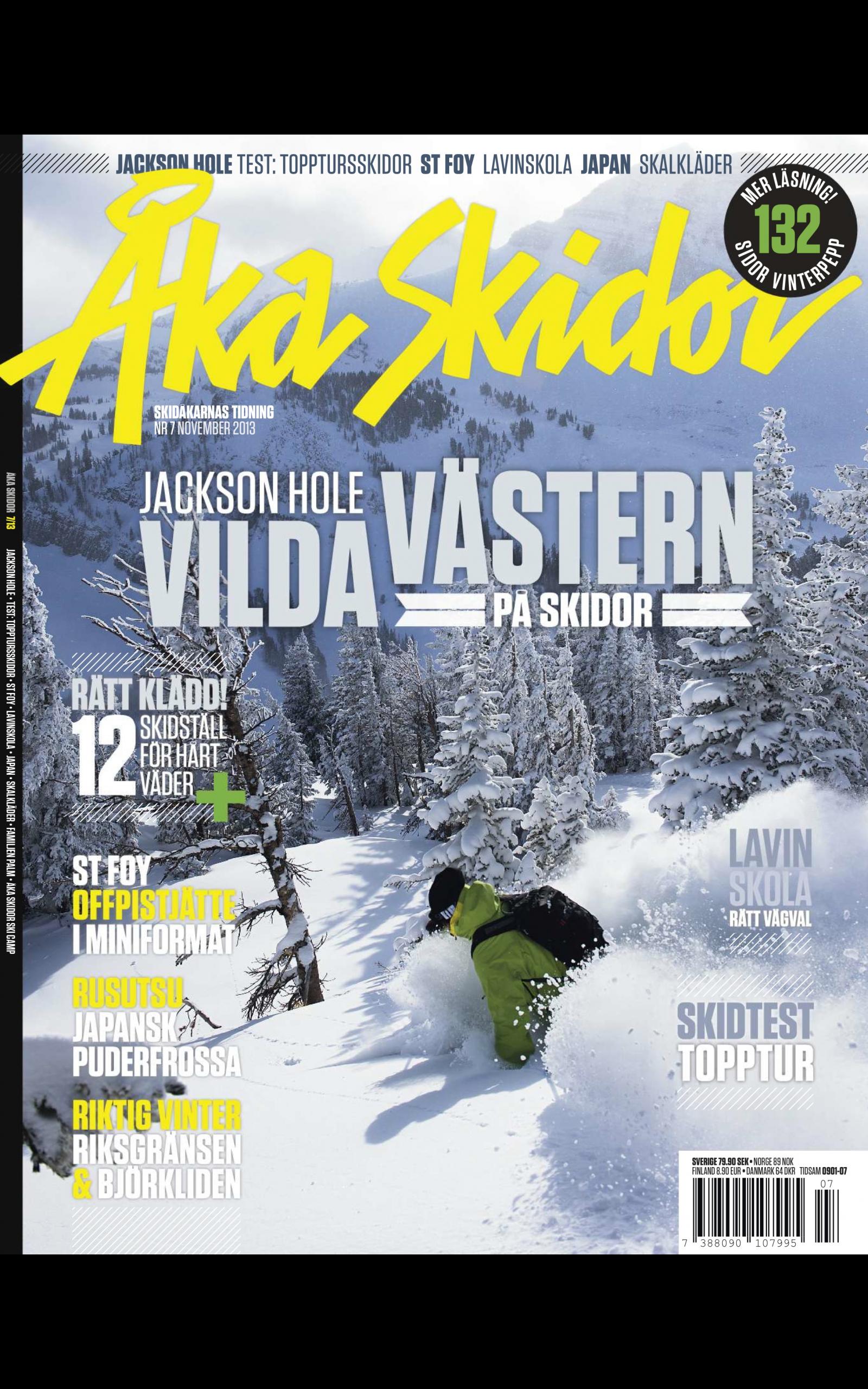 Åka Skidor for Android - APK Download