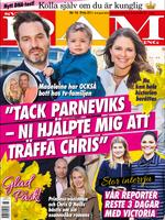 Svensk Damtidning پوسٹر