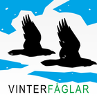 Vinterfåglar–BirdLife Sverige 图标