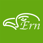 Ern icon