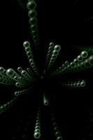 Zoomfield live wallpaper تصوير الشاشة 1