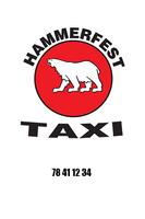 Hammerfest Taxihus poster