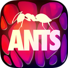 ANTS - THE GAME Zeichen