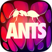 ANTS - THE GAME