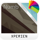Theme XPERIEN™- Numb icône